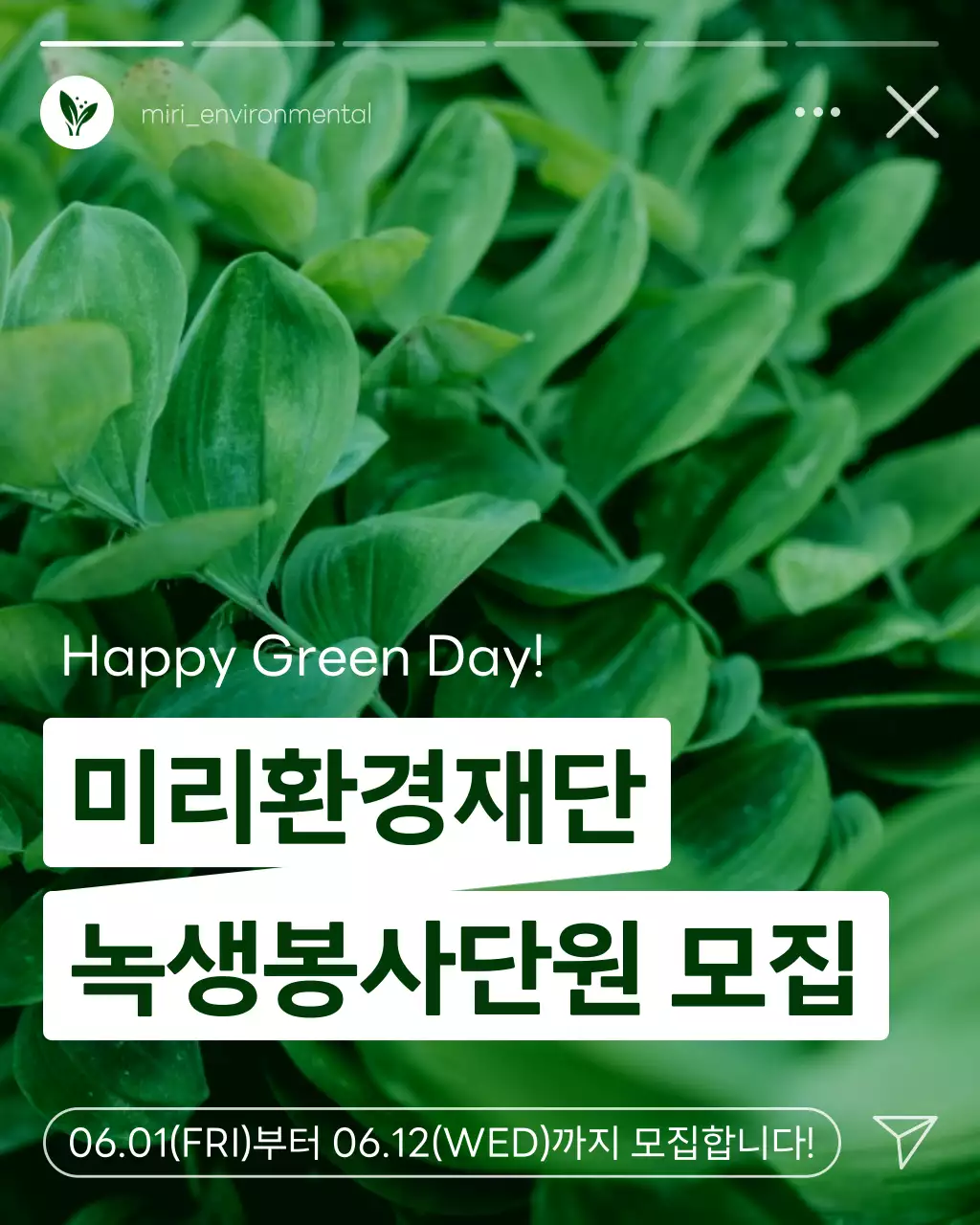 초록과 흰색의 모던한 환경봉사단원 모집 홍보