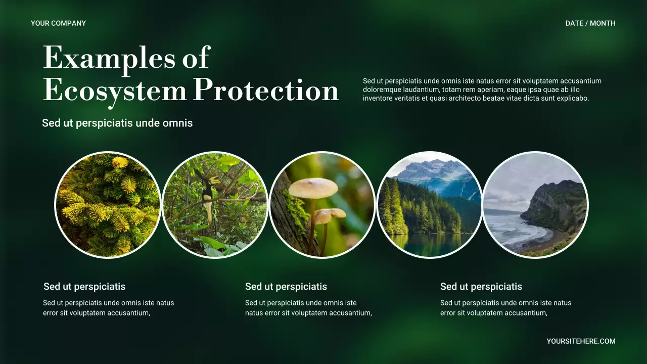 Bài trình bày về thiên nhiên tối giản xanh