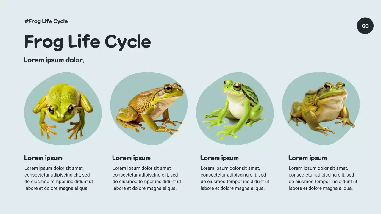 Green Artistic Biodiversity Course Presentation