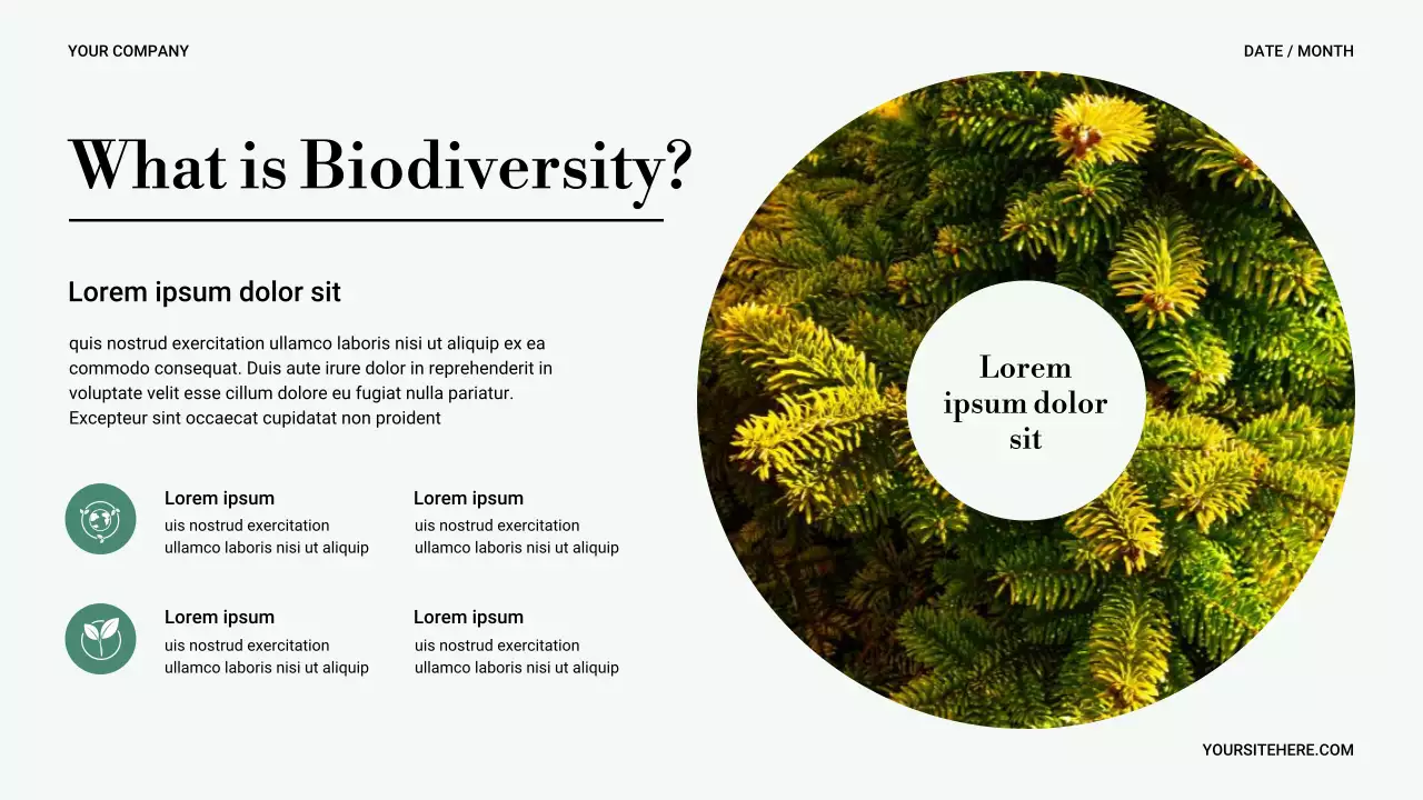 Bài trình bày về thiên nhiên tối giản xanh