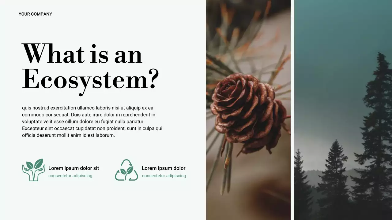 Bài trình bày về thiên nhiên tối giản xanh