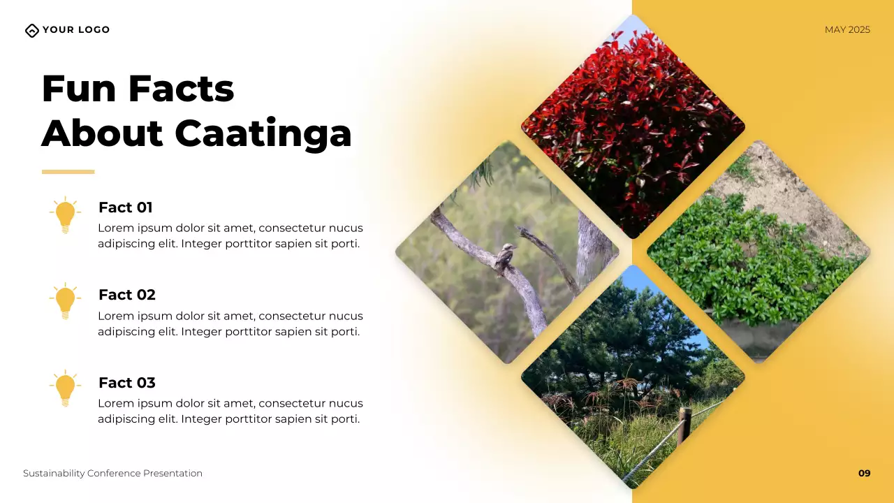 Presentasi Pendahuluan Lokasi Geografis Modern Kuning