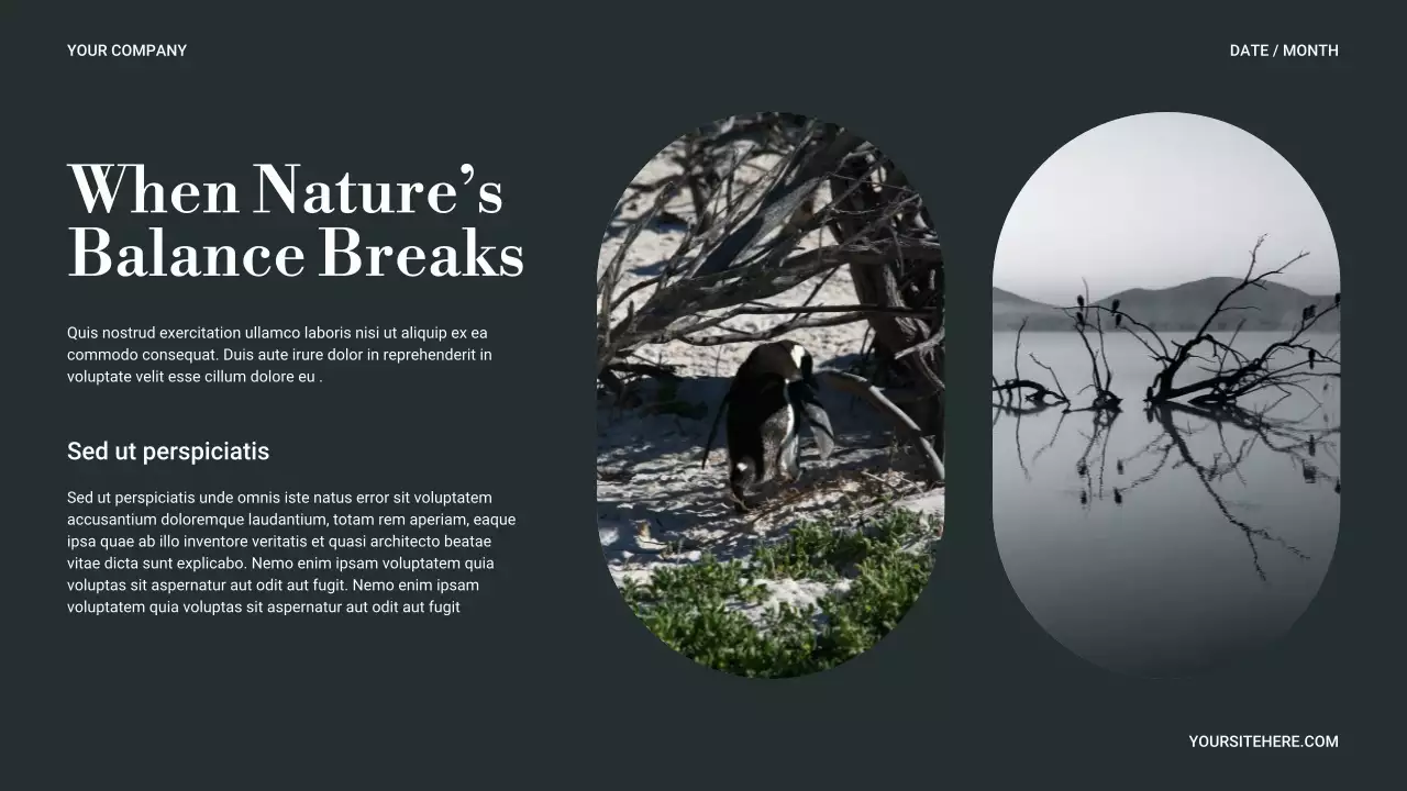 Bài trình bày về thiên nhiên tối giản xanh