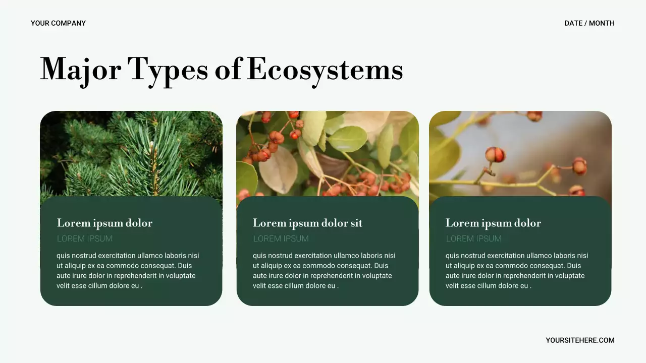 Bài trình bày về thiên nhiên tối giản xanh