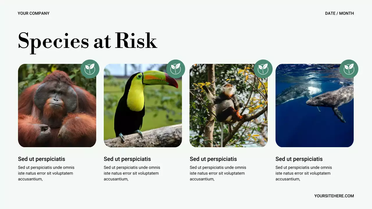 Bài trình bày về thiên nhiên tối giản xanh