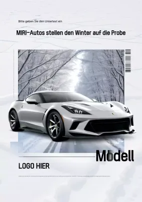 Werbung für ein silbernes Luxusauto