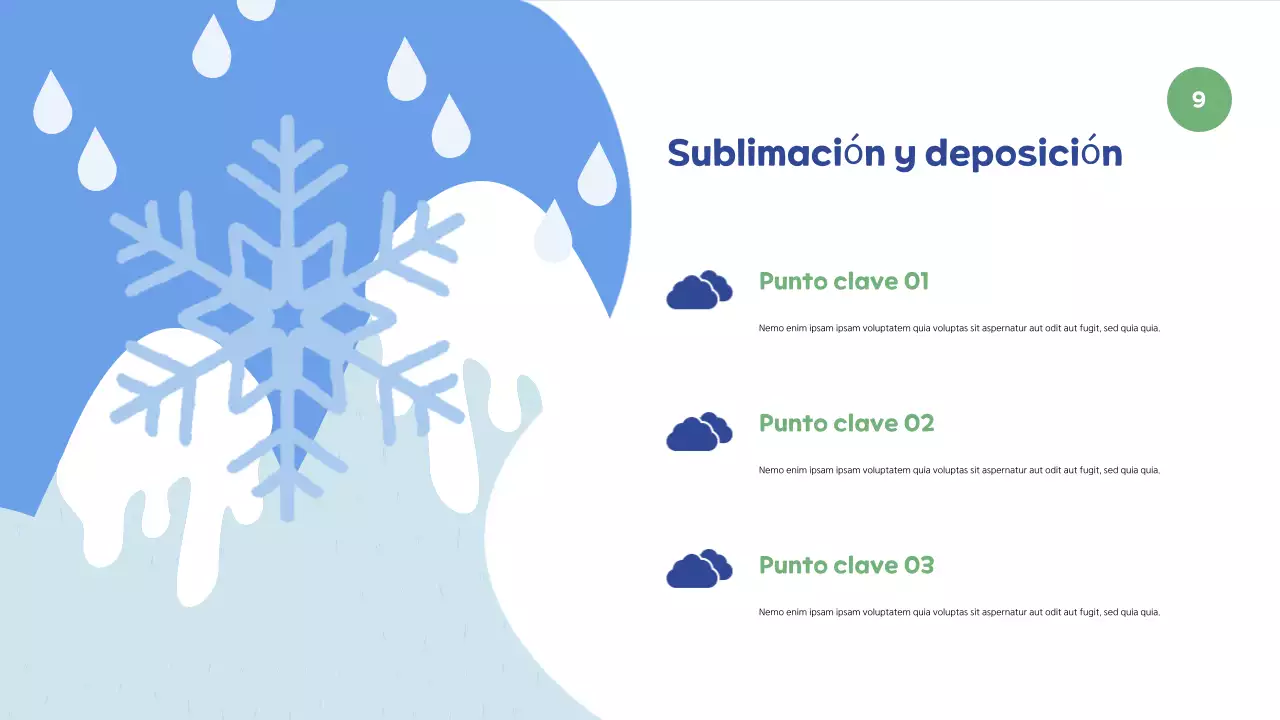 Presentación de la exposición Naturaleza minimalista azul