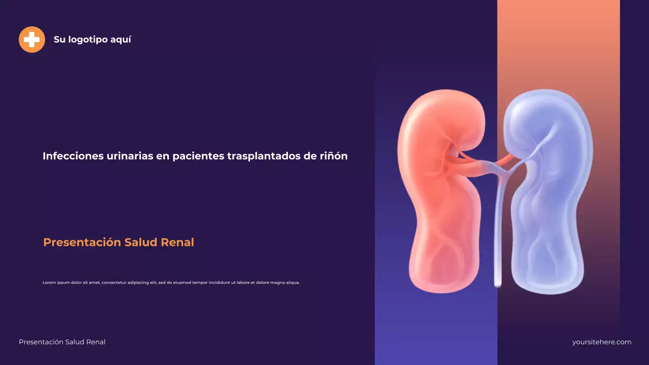 Presentación ilustrativa moderna de la salud renal en color morado