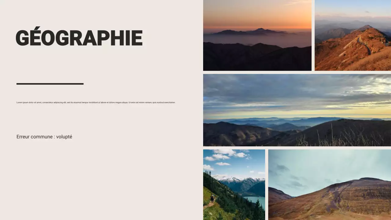 Présentation publicitaire de Brown Rustic Travel