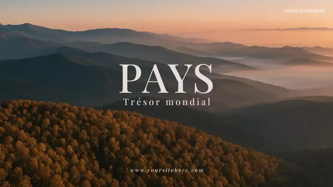 Présentation publicitaire de Brown Rustic Travel