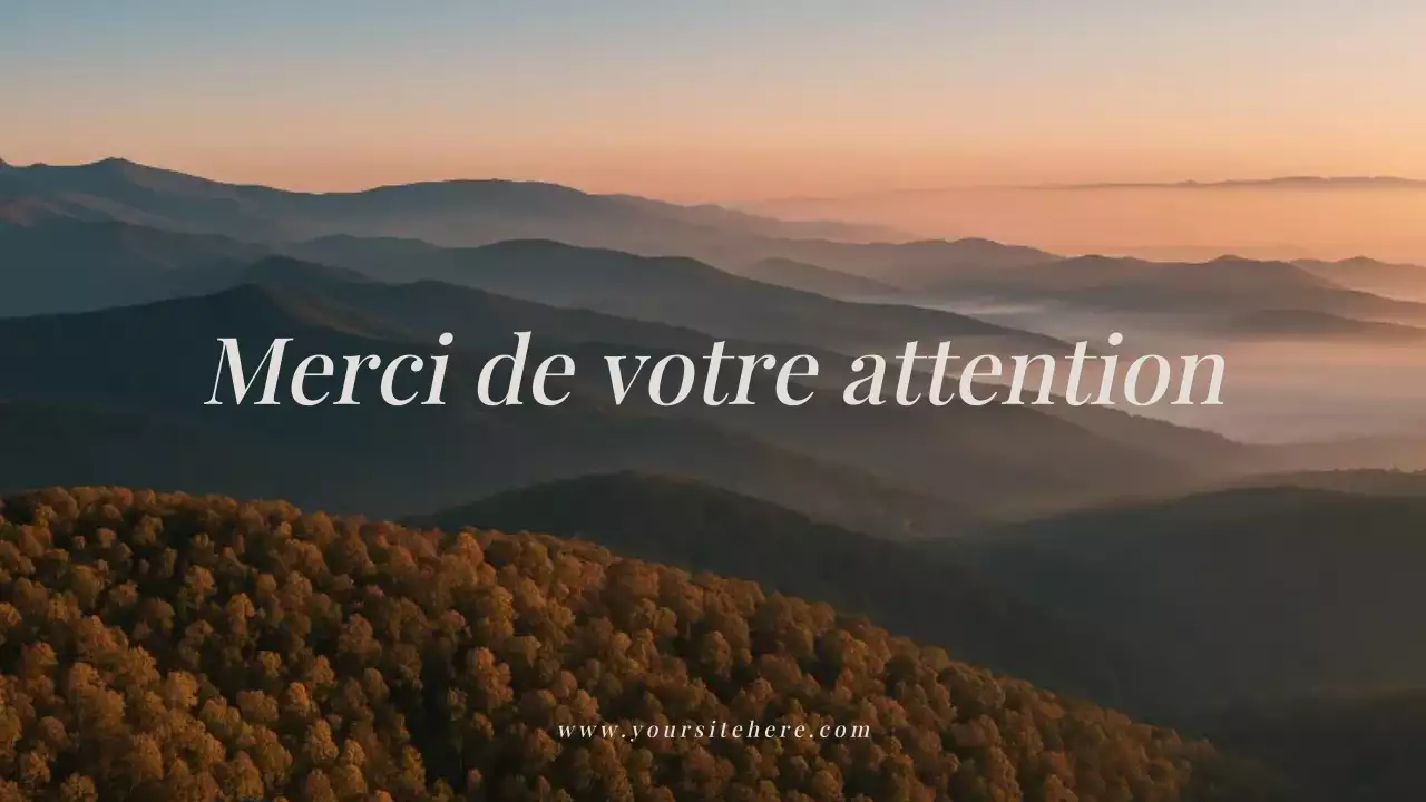 Présentation publicitaire de Brown Rustic Travel