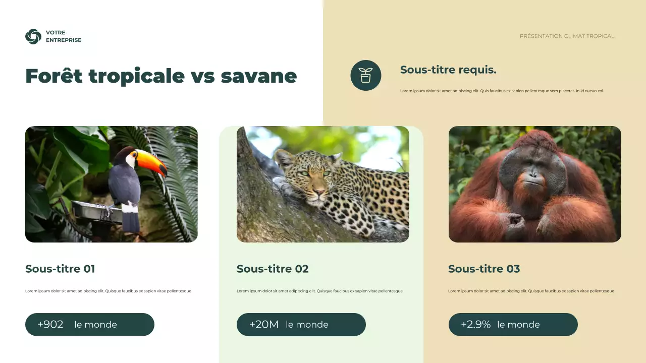 Présentation des informations climatiques sur le vert rustique
