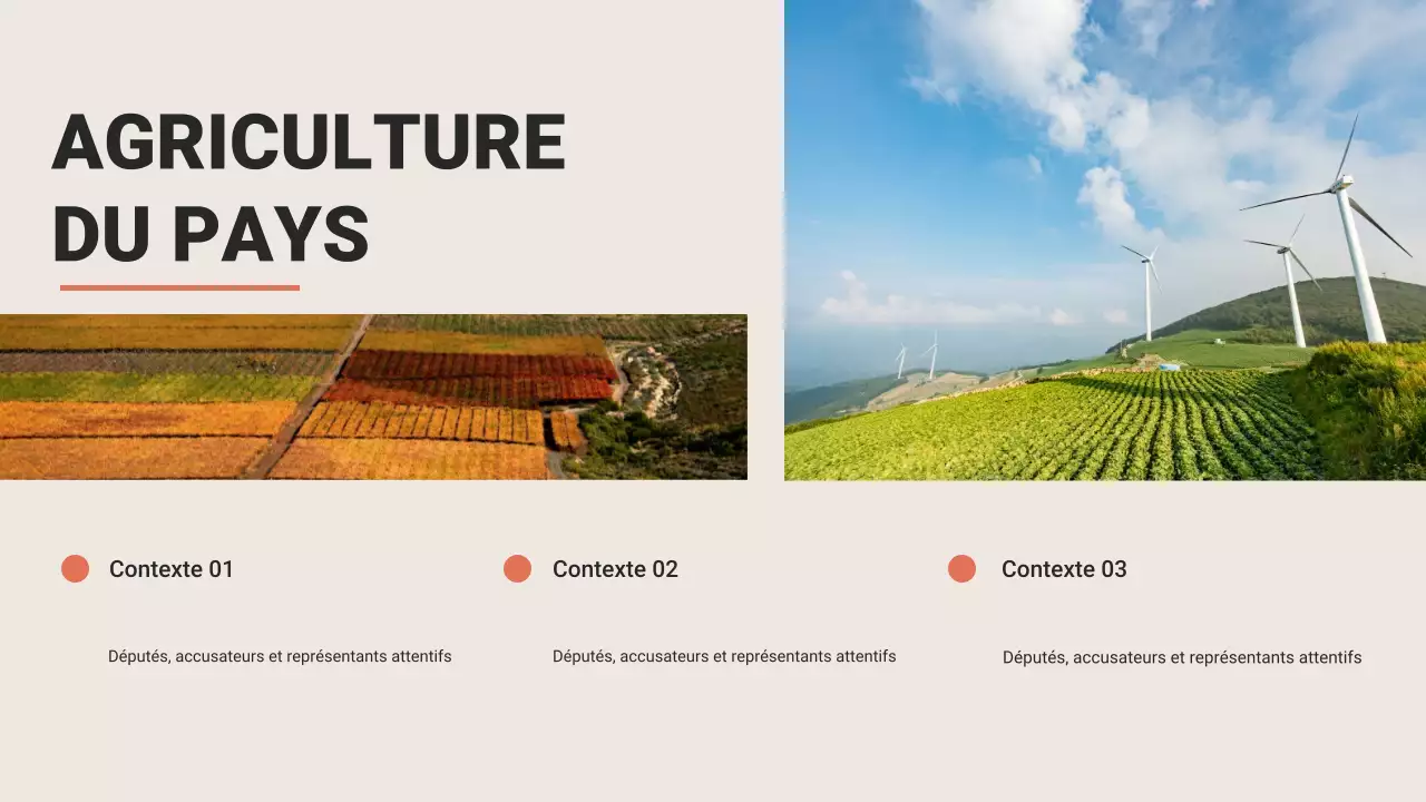 Présentation publicitaire de Brown Rustic Travel