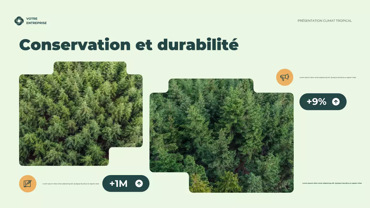 Présentation des informations climatiques sur le vert rustique