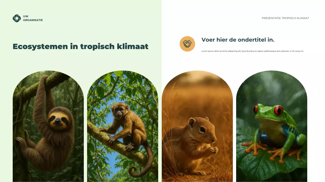 Presentatie van informatie over het groene rustieke klimaat