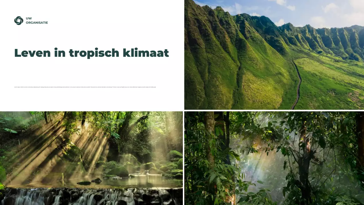 Presentatie van informatie over het groene rustieke klimaat