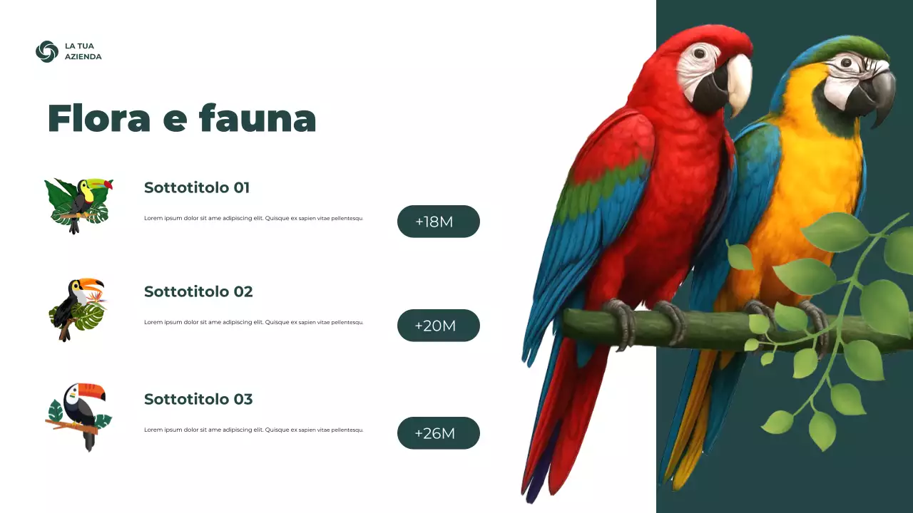 Presentazione delle informazioni sul clima rustico verde