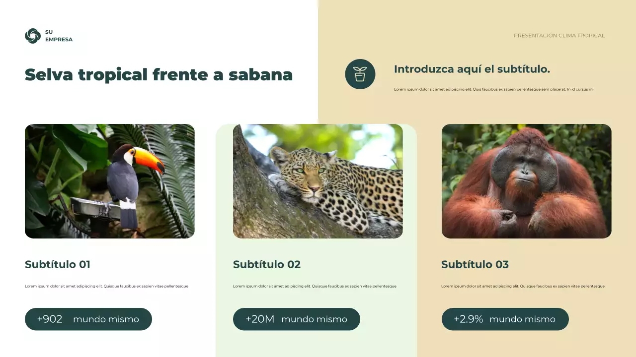 Presentación de información climática rústica verde