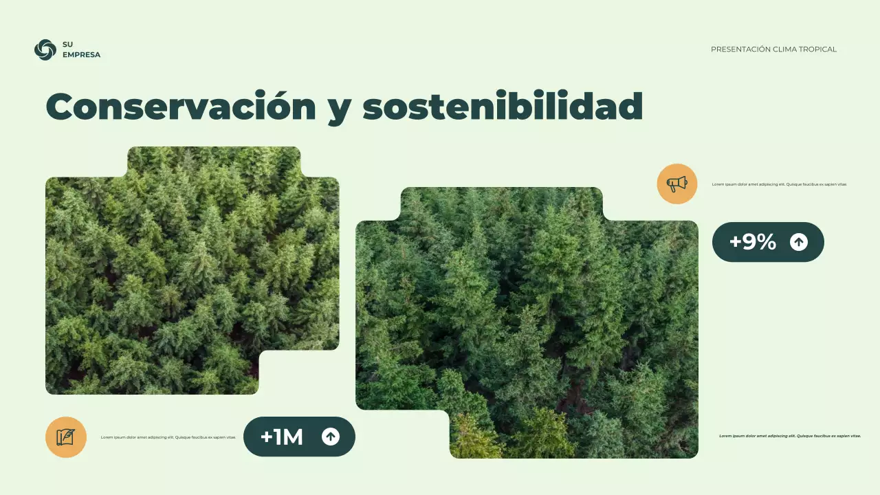 Presentación de información climática rústica verde