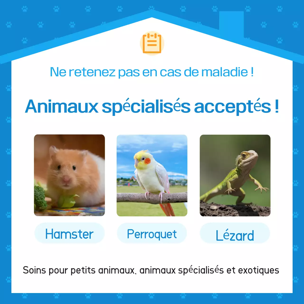 Publicité pour l'hôpital vétérinaire Blue Simple