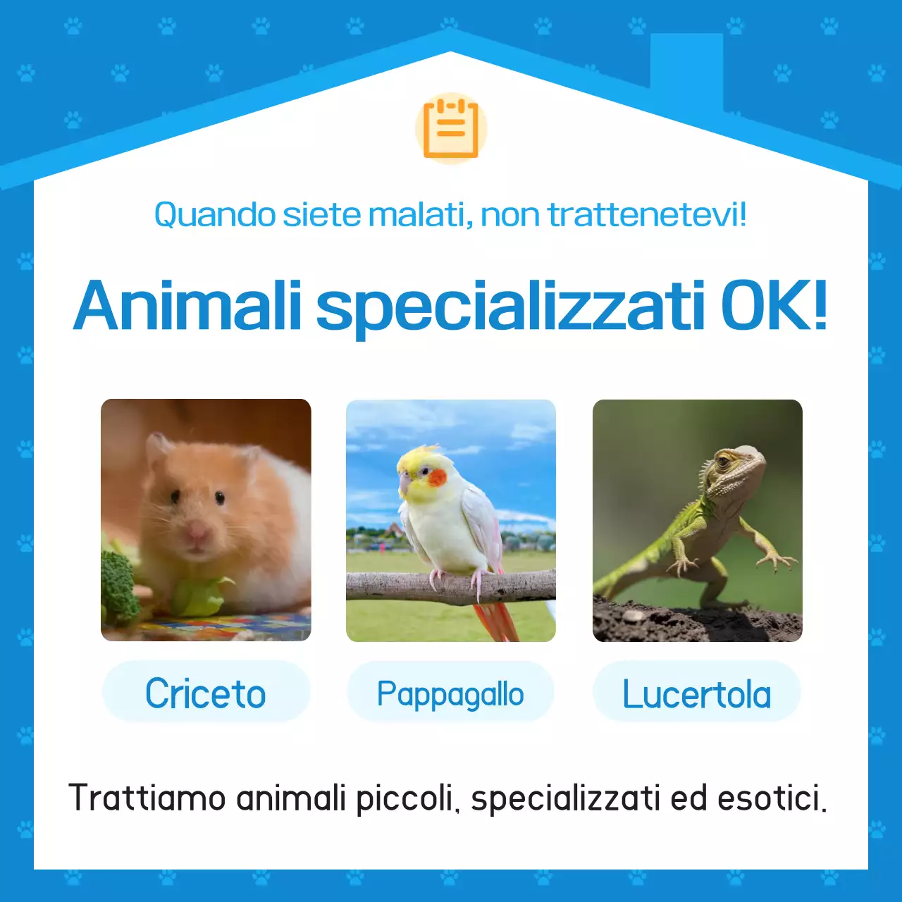 Pubblicità dell'ospedale veterinario Blue Simple