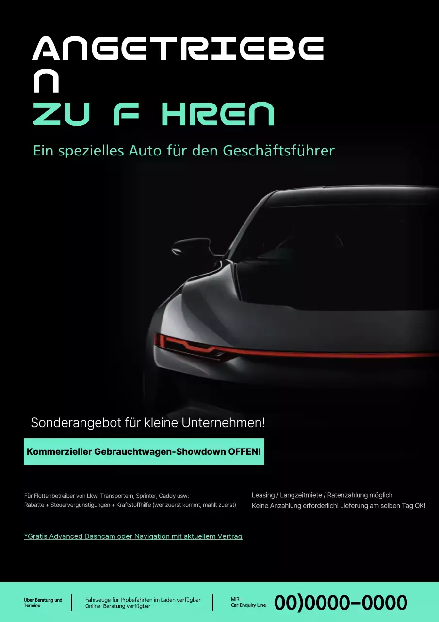 Luxuriöser gewerblicher Gebrauchtwagen in Mint und Schwarz zu verkaufen