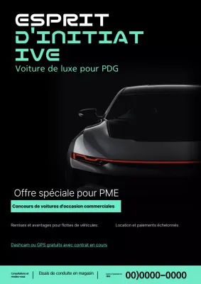Voiture commerciale de luxe d'occasion à vendre en menthe et noir