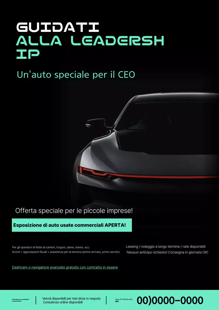 Auto commerciale di lusso usata in vendita, colore nero e menta