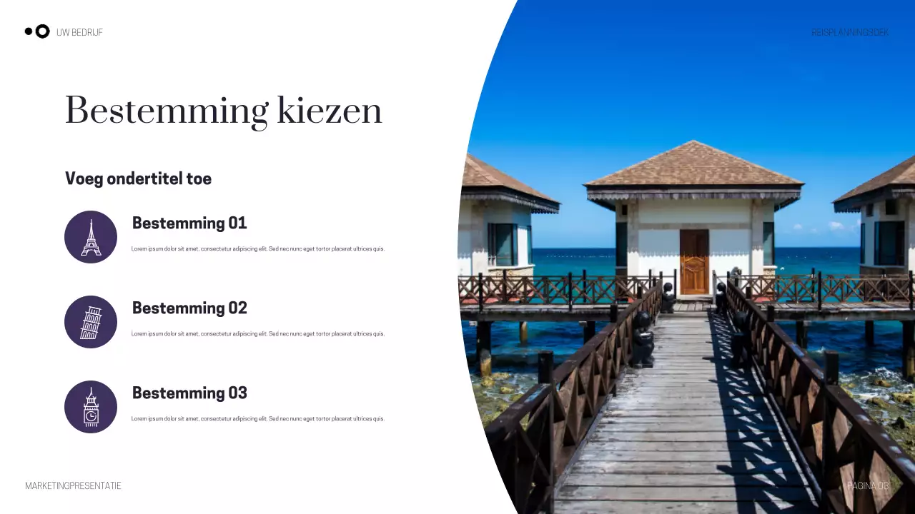 Paarse moderne reispresentatie