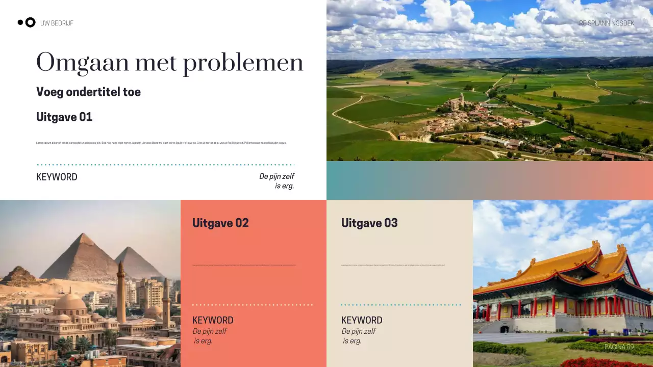 Paarse moderne reispresentatie