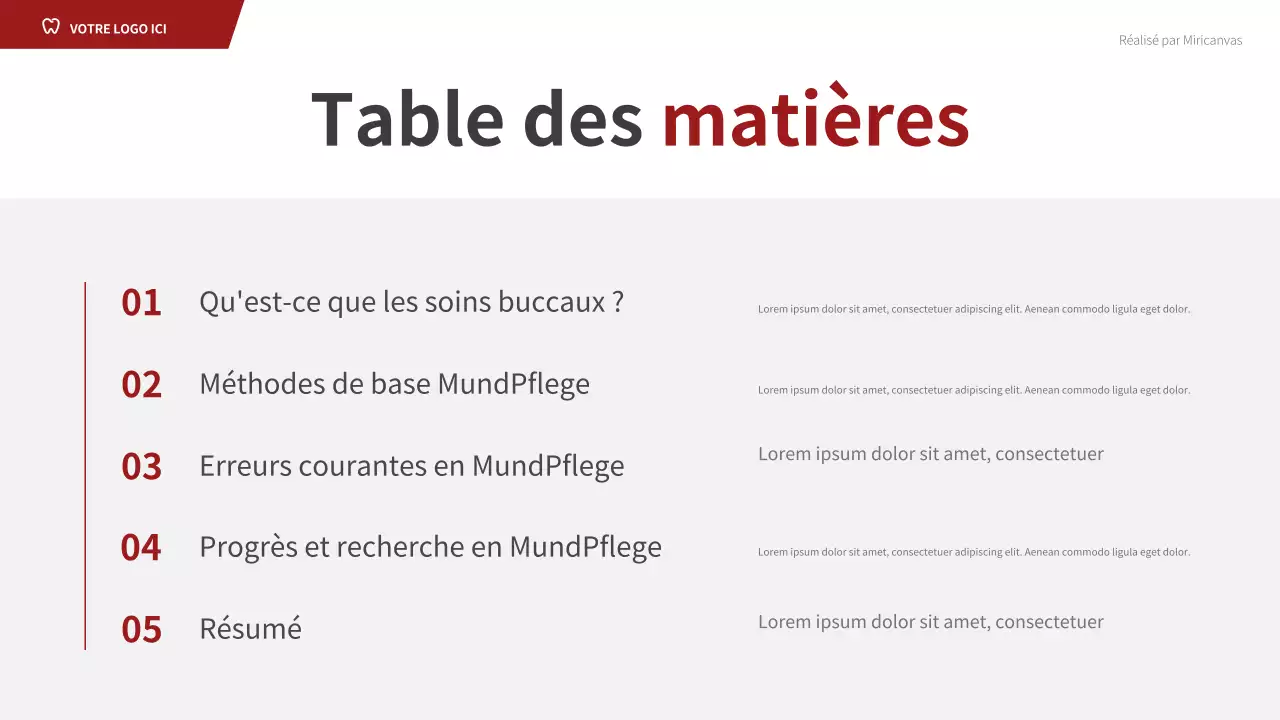 Présentation du guide dentaire professionnel rouge