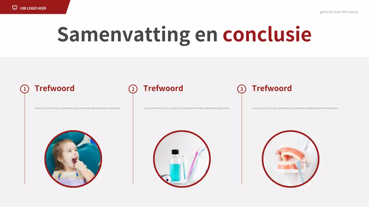 Presentatie van de Rode Professionele Tandartsgids