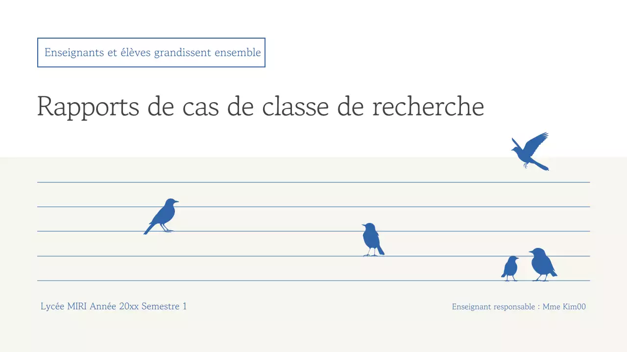 Rapport sur le matériel pédagogique Blue Simple