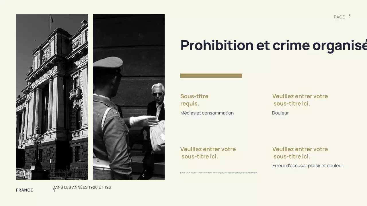 Présentation de l'histoire du vintage noir