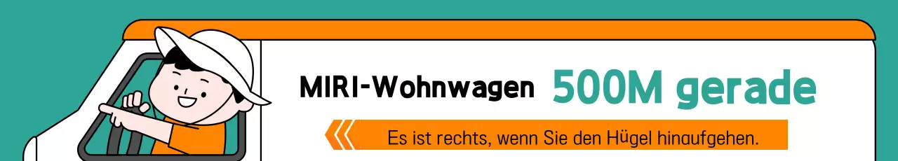 Mint Simple Guide-Handbuch