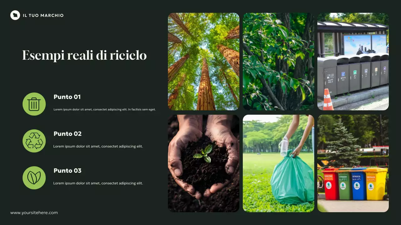 Presentazione Introduzione all'Ecologia Moderna Naturale Verde