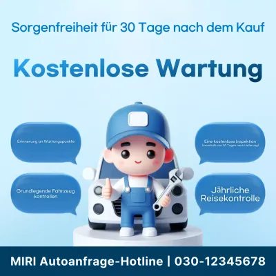 Sky Blue Baby Auto-Inspektionshandbuch