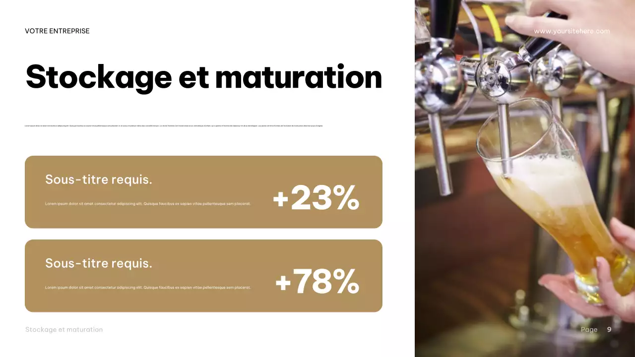 Présentation du guide de la bière industrielle Brown