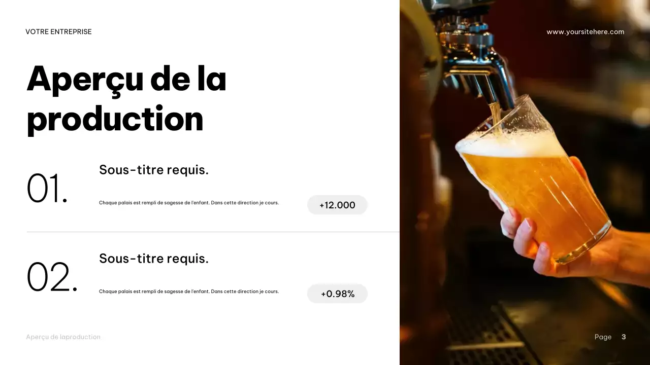 Présentation du guide de la bière industrielle Brown