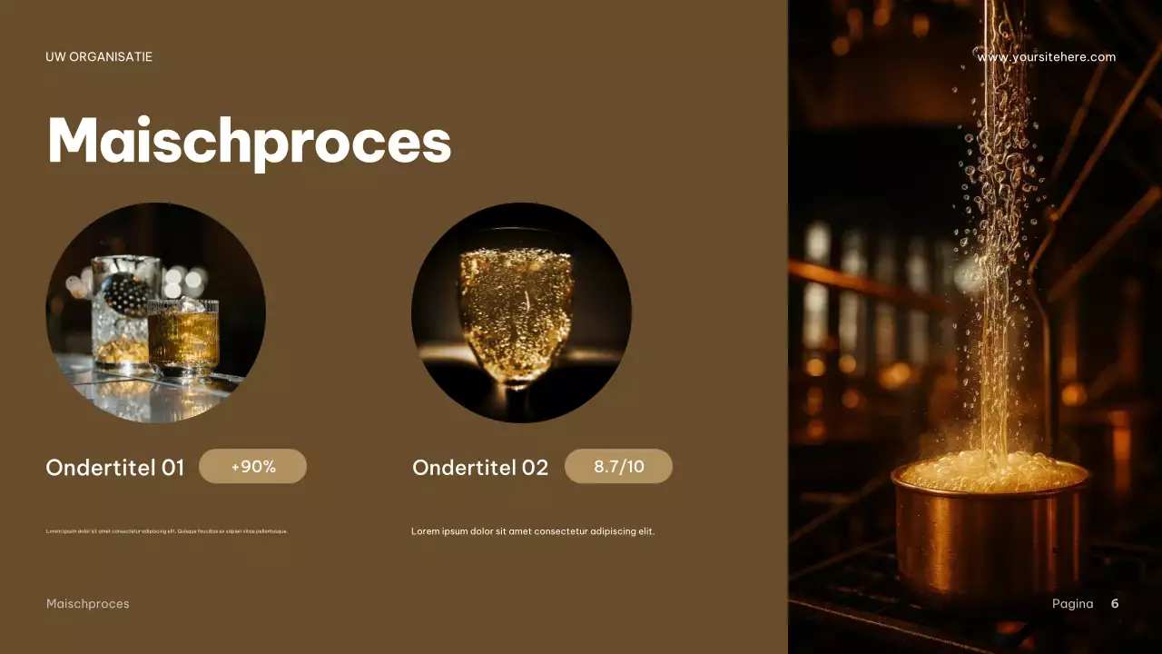 Presentatie van de Brown Industrial Beer Guide