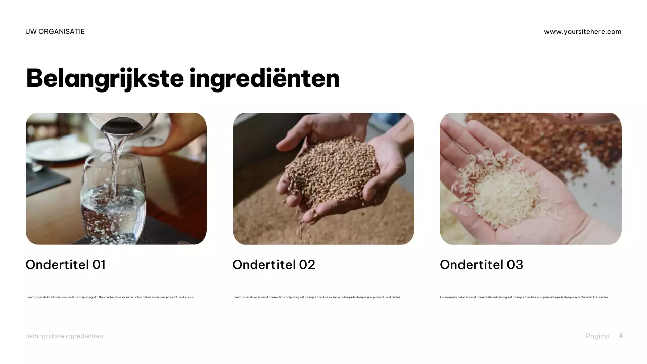 Presentatie van de Brown Industrial Beer Guide