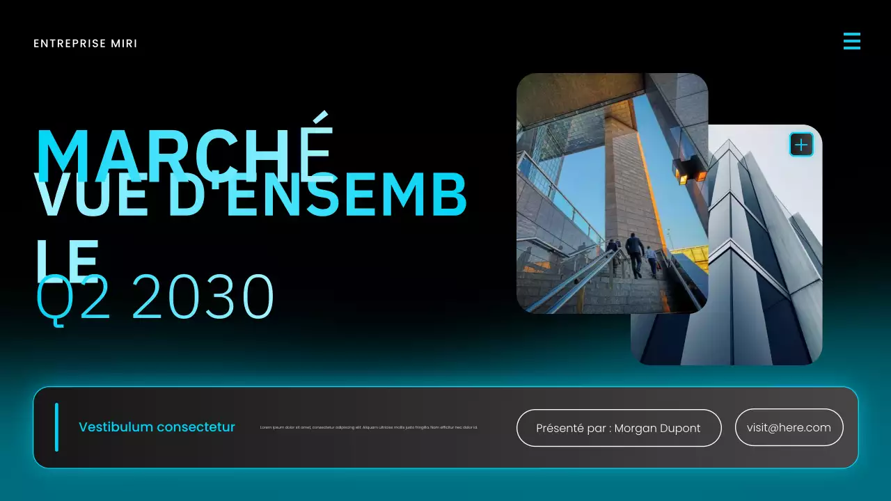 Présentation du rapport sur le marché moderne bleu