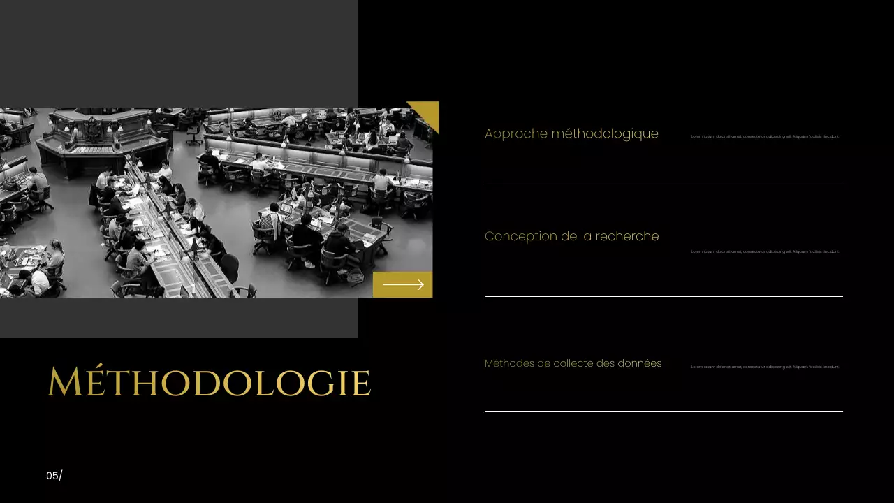 Présentation d'une proposition de recherche moderne noire