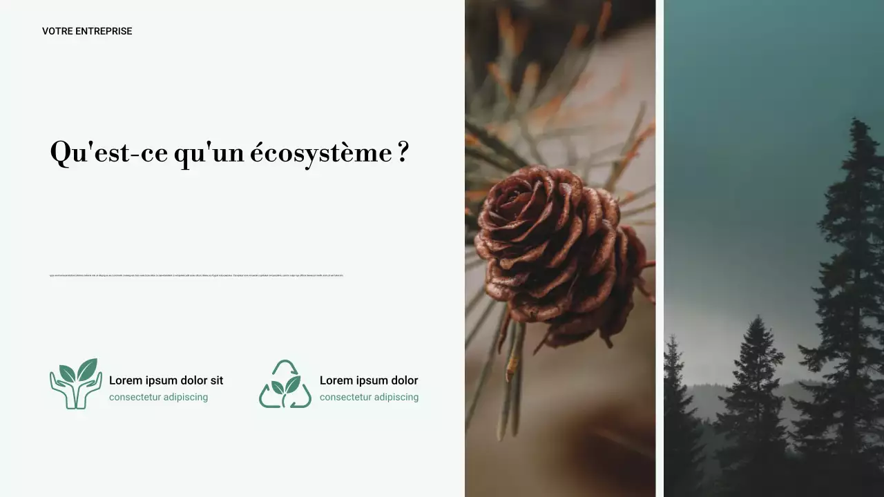 Présentation de la nature minimaliste verte