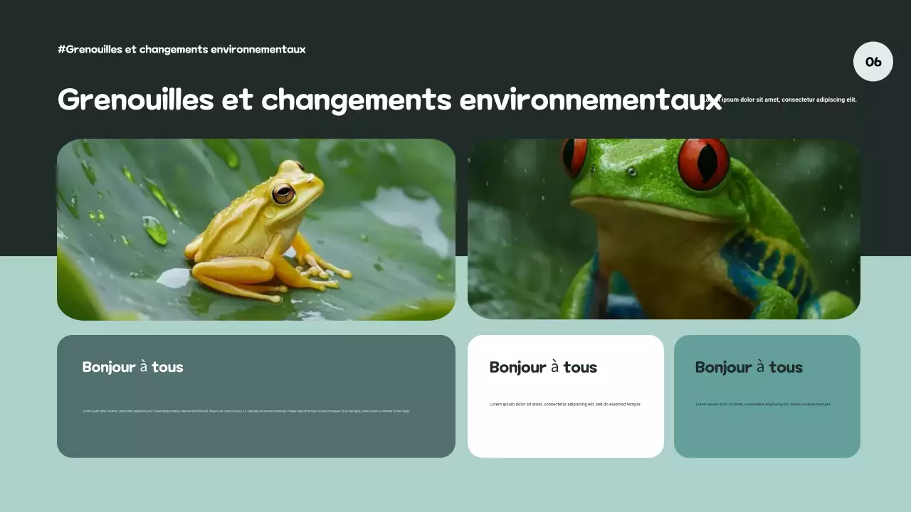 Présentation artistique verte sur la biodiversité