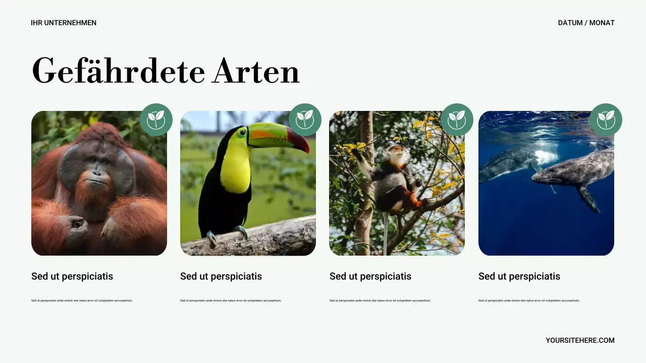 Grüne Minimale Natur Präsentation