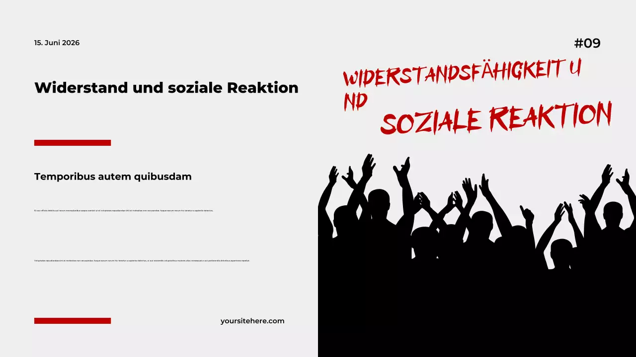 Vortragspräsentation zum Thema „Graue moderne Regierung“