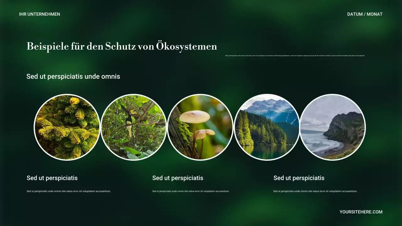 Grüne Minimale Natur Präsentation