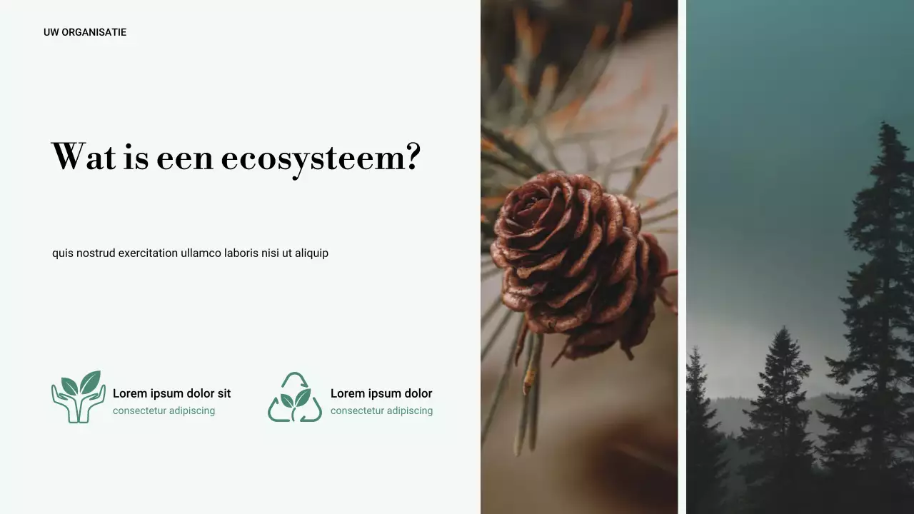 Groene Minimale Natuur Presentatie