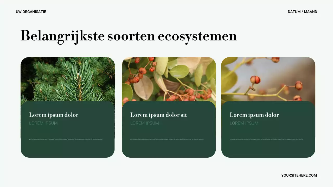 Groene Minimale Natuur Presentatie